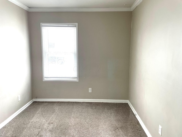 carpeted empty room with ornamental molding