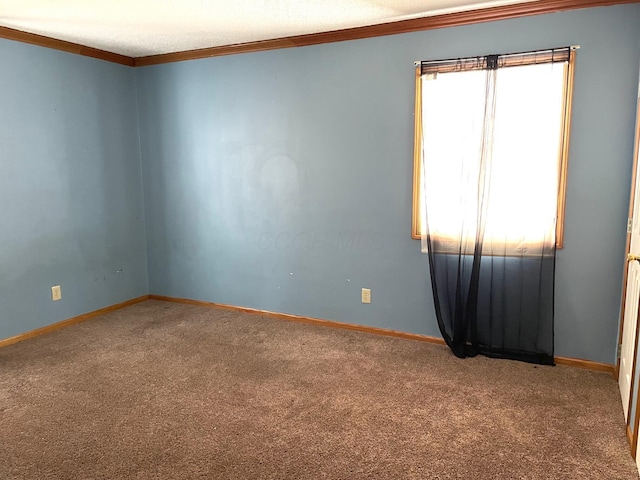 empty room with carpet and ornamental molding