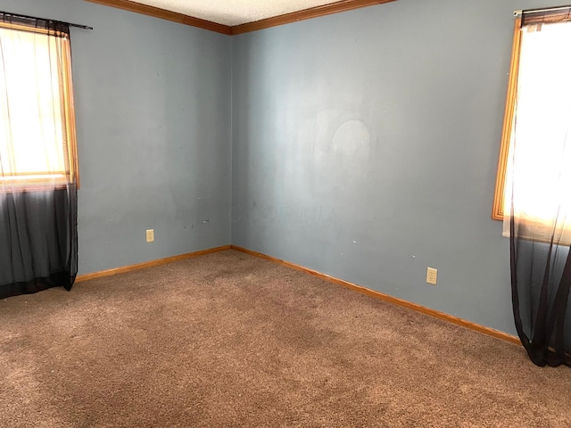 carpeted empty room featuring crown molding