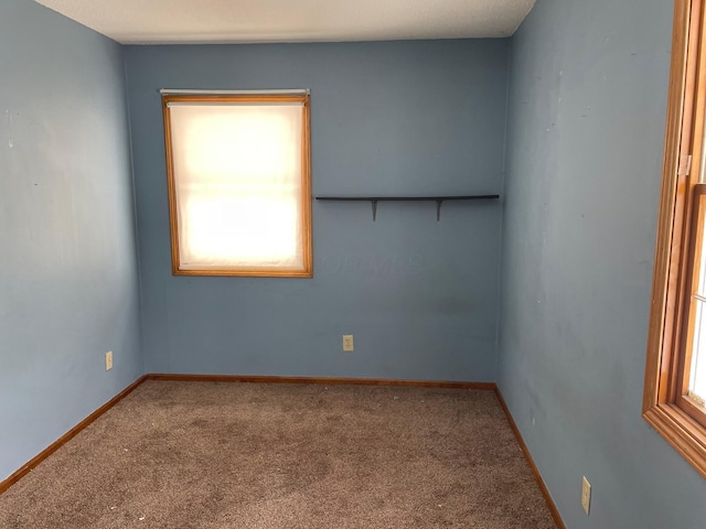 unfurnished room featuring carpet