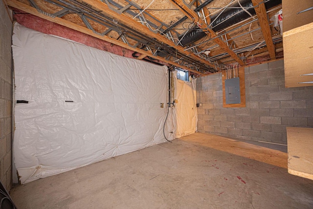 basement with electric panel