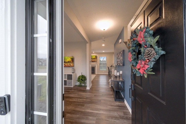 foyer featuring dark wood-type flooring