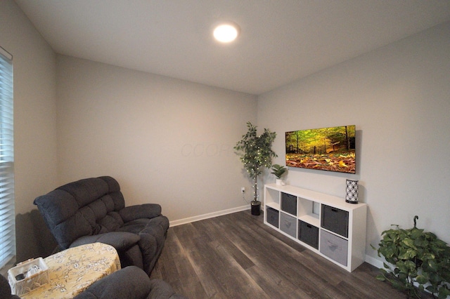 living area with dark hardwood / wood-style flooring