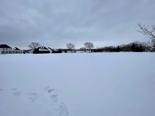 view of yard layered in snow