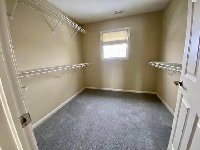 spacious closet with dark colored carpet