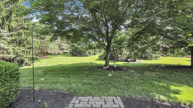 9193 Leith Dr, Dublin, OH 43017 - photo 11