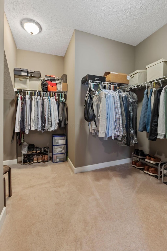 walk in closet featuring carpet floors