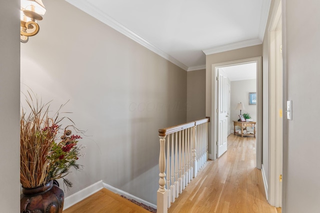 hallway featuring light hardwood / wood-style flooring and ornamental molding