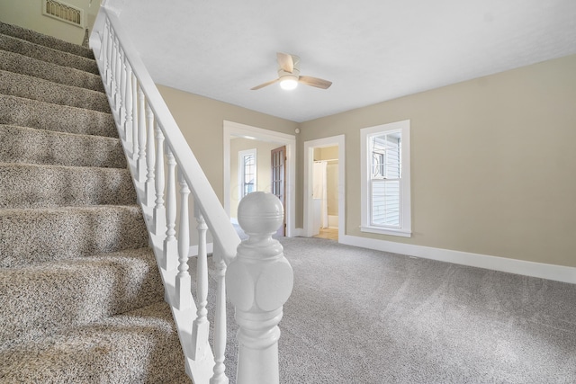 stairs featuring carpet flooring and ceiling fan