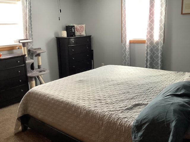 bedroom with multiple windows