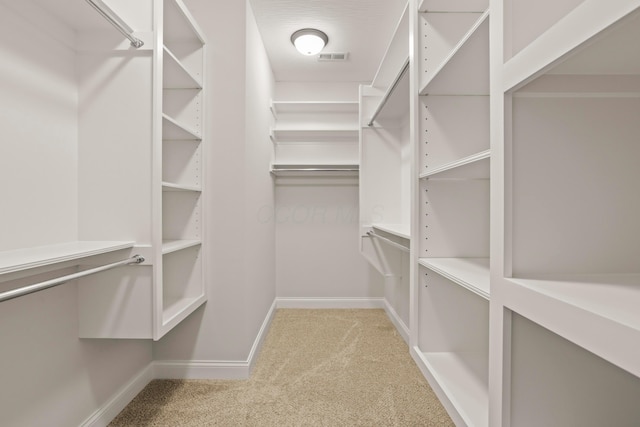 walk in closet with light carpet