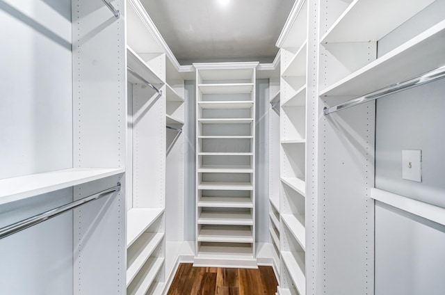 spacious closet featuring dark wood-type flooring