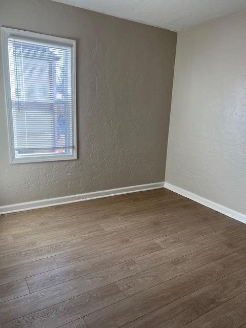 spare room with dark hardwood / wood-style floors and a healthy amount of sunlight