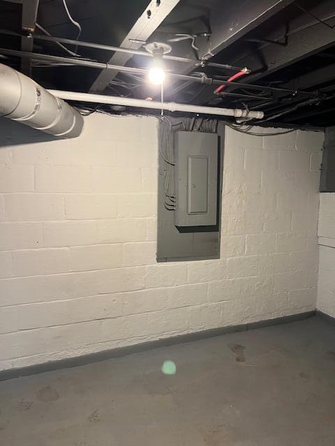 basement with electric panel