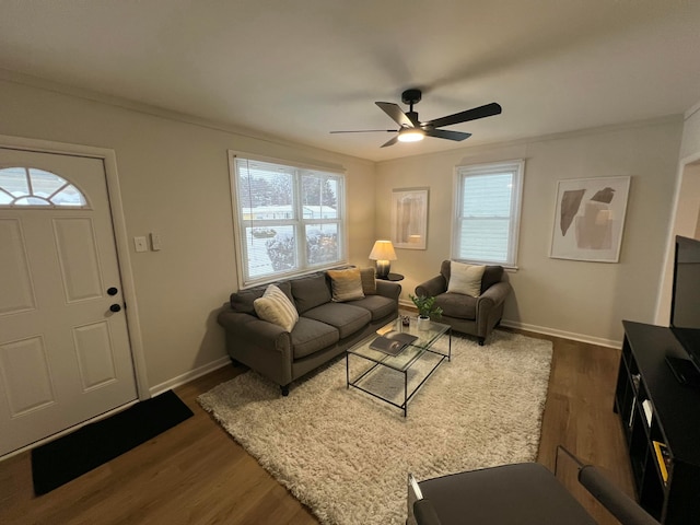 living room with ceiling fan, dark hardwood / wood-style flooring, and ornamental molding