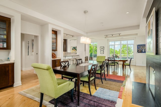 dining area with light hardwood / wood-style flooring and track lighting