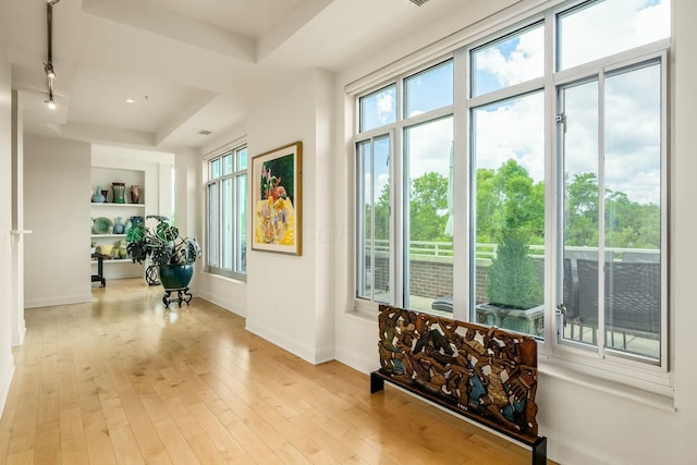 hall featuring a raised ceiling and light hardwood / wood-style flooring