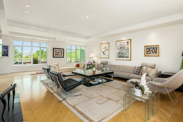 living room featuring light hardwood / wood-style flooring