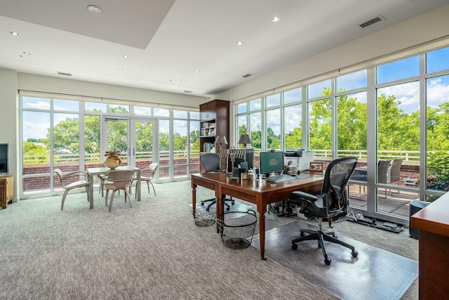 office area with carpet floors and a healthy amount of sunlight