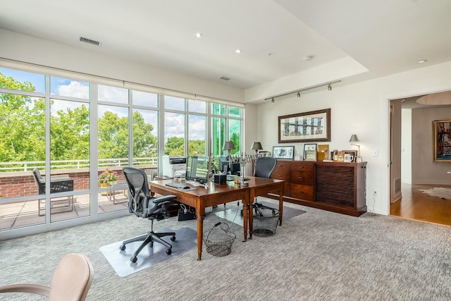 carpeted office space with plenty of natural light