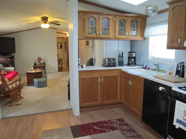 kitchen with black dishwasher, lofted ceiling, light hardwood / wood-style flooring, and sink