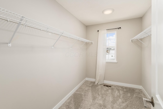 spacious closet with carpet floors