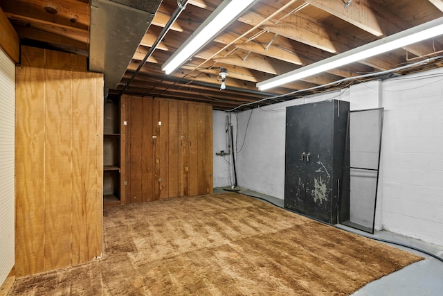 basement featuring wood walls