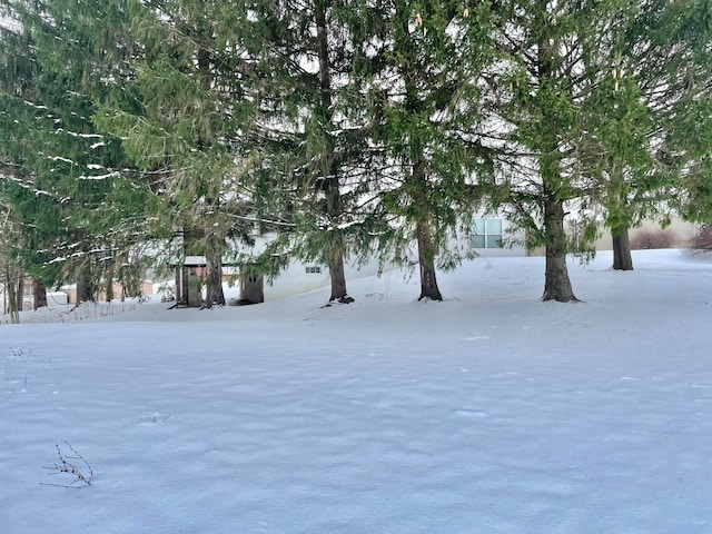 view of snowy yard