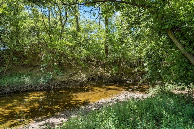 view of landscape with a water view