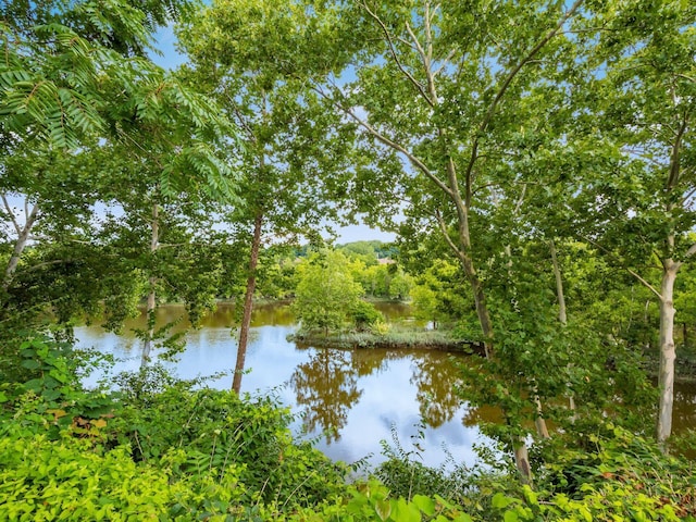 property view of water