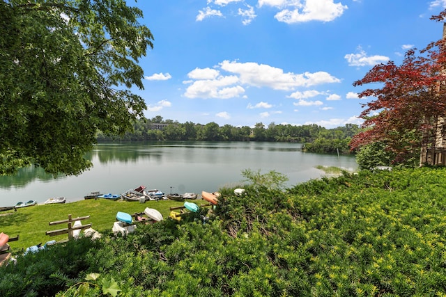1301 Lake Shore Dr Unit 199, Columbus, OH 43204 - water view featuring a heavily wooded area