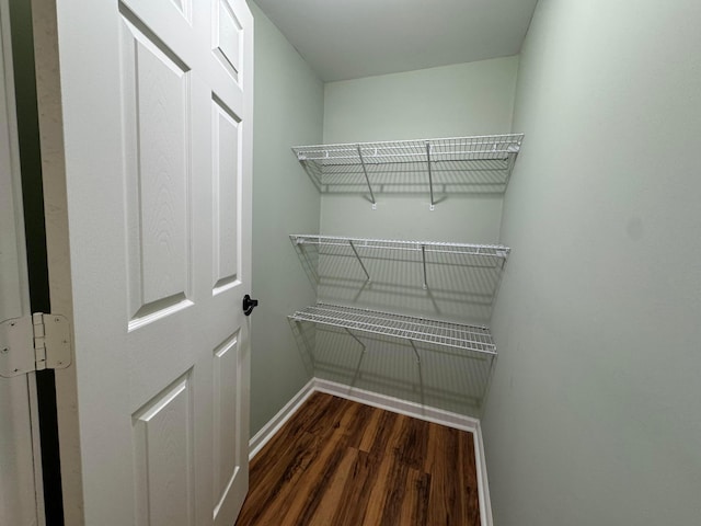 walk in closet with dark wood-type flooring