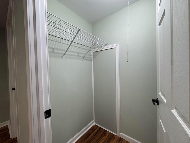 spacious closet with dark wood-type flooring