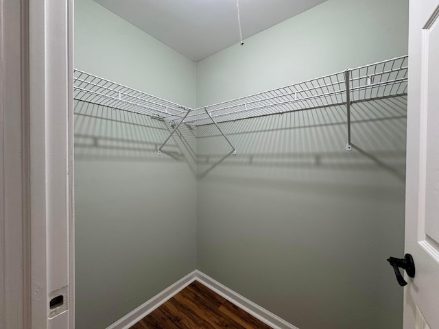 spacious closet featuring hardwood / wood-style floors