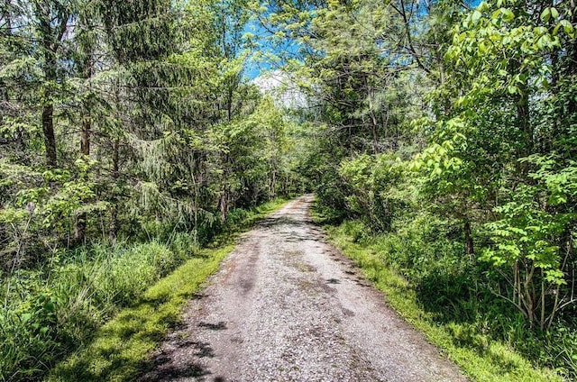 view of road