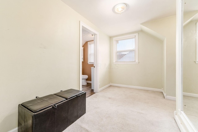 additional living space with light colored carpet and lofted ceiling