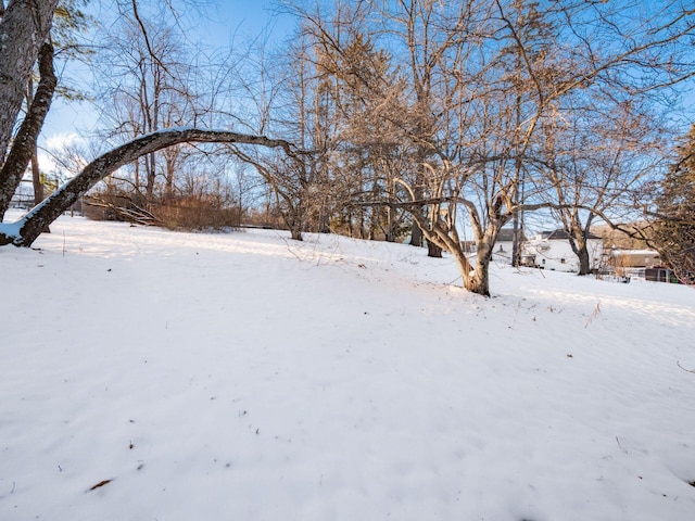 view of snowy yard