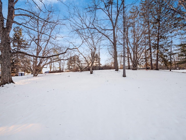 view of yard layered in snow