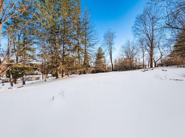 view of yard covered in snow