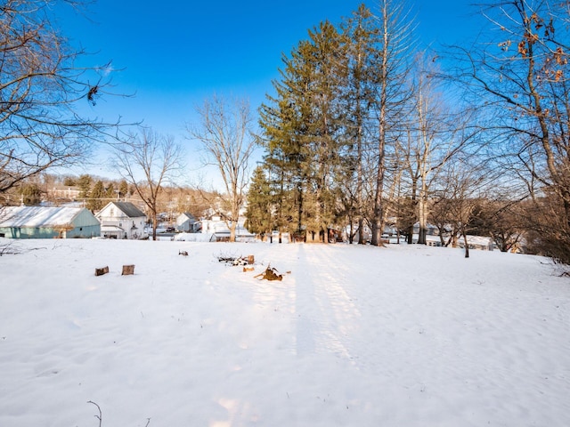 view of snowy yard