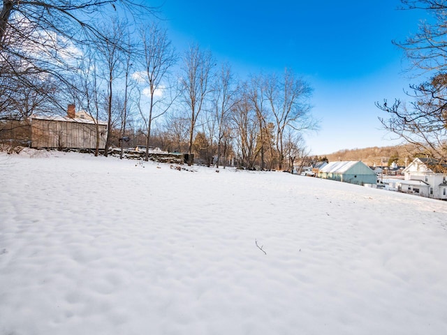 view of yard covered in snow