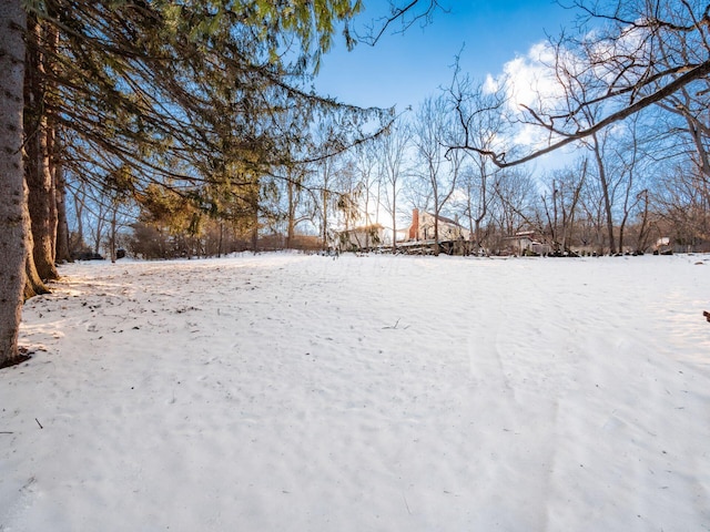 view of snowy yard