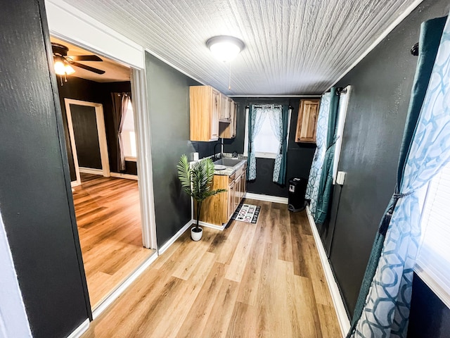 kitchen featuring ceiling fan, light wood-type flooring, and sink