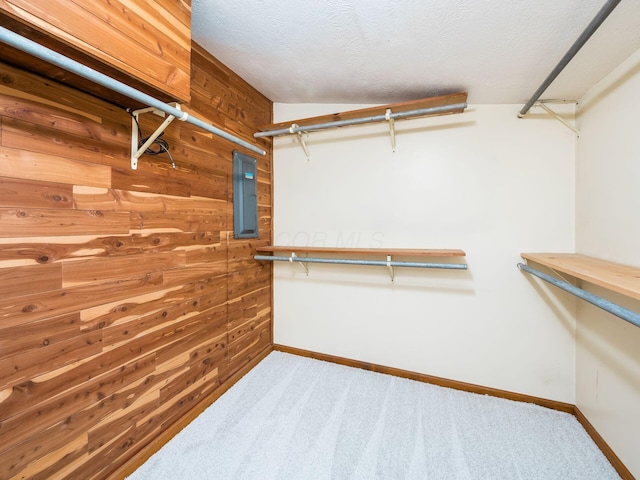 walk in closet featuring electric panel and carpet