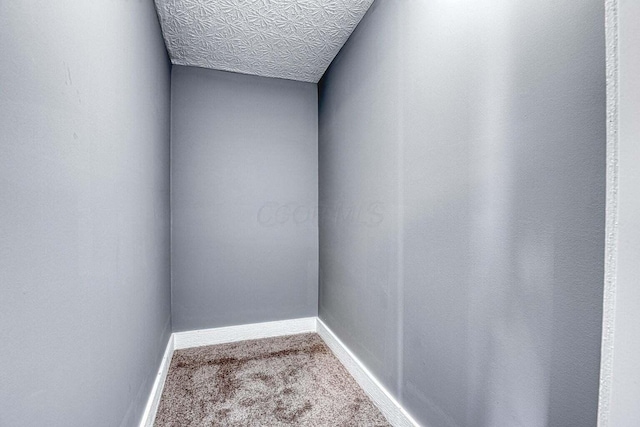 interior space featuring carpet flooring and a textured ceiling