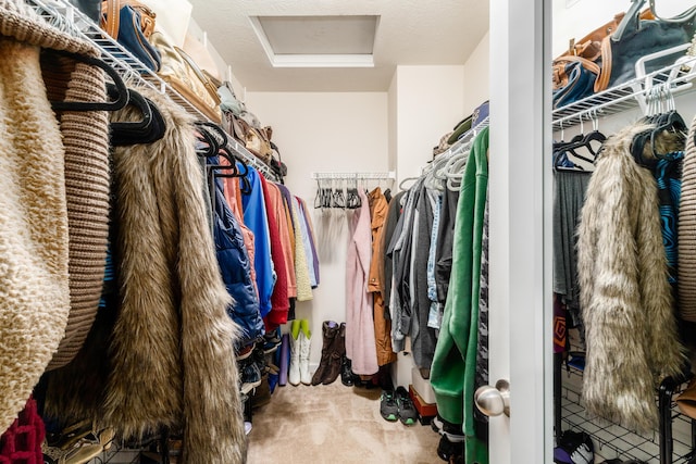 spacious closet with carpet floors