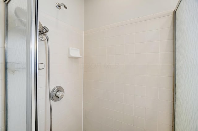 details with a shower with door