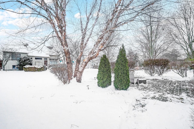 view of yard covered in snow