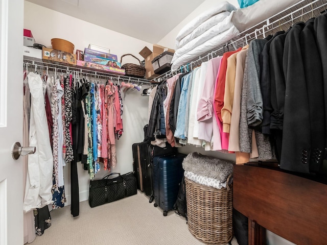 spacious closet with carpet flooring