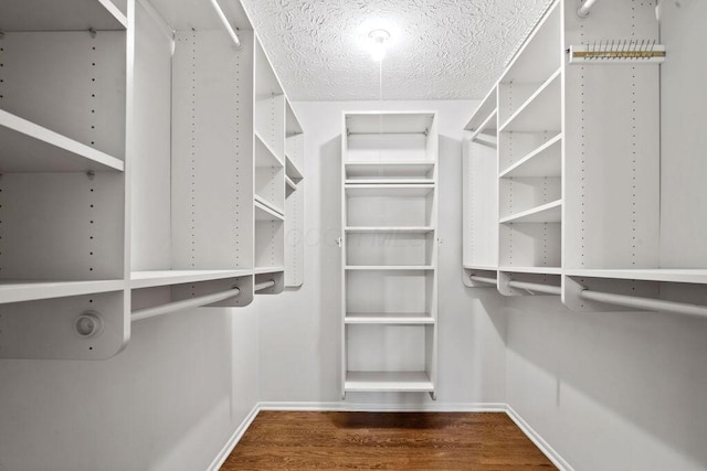 spacious closet with hardwood / wood-style flooring